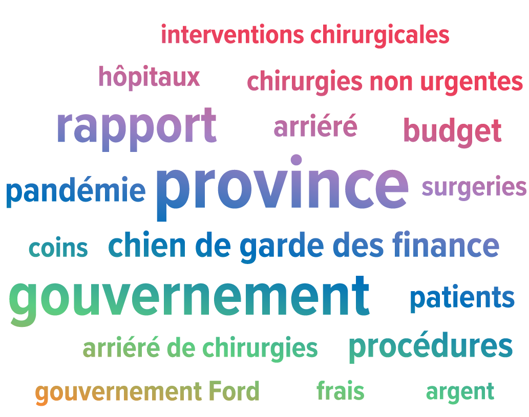 Comme souligné dans le nuage de mots (Figure 2), les rapports du BRF étaient fréquemment cités dans les médias lorsqu’ils traitaient de questions liées à la pandémie, comme les arriérés relatifs aux interventions chirurgicales non urgentes et aux examens de diagnostic.